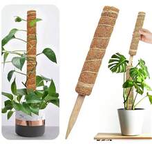 1pc Turtle Back Bamboo Moss Pole, Adjustable Plant Support Stick, Indoor Potted Plant Stand, Coconut Fiber Pole, Suitable For Moss, Pothos And Other Climbing Plants - Brown - View 6