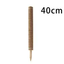 1pc Turtle Back Bamboo Moss Pole, Adjustable Plant Support Stick, Indoor Potted Plant Stand, Coconut Fiber Pole, Suitable For Moss, Pothos And Other Climbing Plants - Brown - View 8