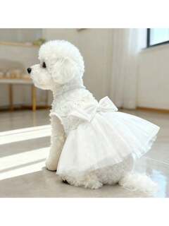 ציוד לחיות מחמד 