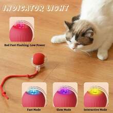 Inteligentes Brinquedos Para Gatos Bola De Rolamento Automática Cauda Falsa Recarregável Elétrico - Vermelho - Visão 3