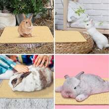 Natural Rabbit Scratching Pad, Claw & Teeth Care, Rabbit Cage Mat, Pet Chew Toy, Suitable For Rabbits To Gnaw, Sleep And Nest - Multicolor - View 7