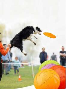 Este Brinquedo Multifuncional é Feito de Revestimento de Borracha Durável e Design Estereoscópico 3D, Adequado Tanto para Treinamento de Cães Quanto como Brinquedo de Estimação. É Particularmente Útil para Relaxamento e Entretenimento.