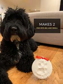 1 Set Pet Paw Print Craft Kit, DIY Memorial Set Includes Stand, Mold Box, Gold Paint, Brush, Mold Box, Gold Paint, Card Mold And Ribbon, Pet Birthday Gift, Material: Clay, Includes 2 Bags Of Molding Clay - one-size - View 3