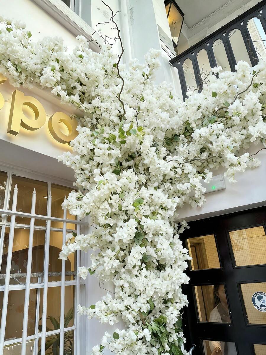 Nejlue Artificial Flowers/Plants1111 Home & Living 1 vòng hoa giấy nhân tạo 170cm, dây leo hoa giấy giả bằng lụa, bền, chống oxy hóa - Thích hợp trang trí nhà cửa và sân vườn, tuyệt vời cho đám cưới và các lễ hội theo mùa, thích hợp trang trí nhà cửa, phòng ngủ, bàn tiệc, sinh nhật, đám cưới, sân vườn, trong nhà và ngoài trời, trang trí mùa xuân. - Trắng tinh khiết - Xem 1