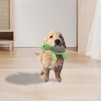 1pc Squeaky Plush Turtle Pet Toy, Cartoon Turtle Toy For Dogs Indoor/Outdoor Play, Chew & Teeth Cleaning