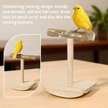 Natural Wood Bird Perch Stand Training, Rocking Perch Birds, Intelligence Puzzle Enrichment Toys Parakeets, Parrot Perch Stand Cockatiels, Budgies, Conures, Bird Playground Accessories - Wooden - View 5