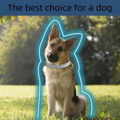 1pc Adjustable Calming Collar For Dogs, Tick Collar For Dogs, Made Of Natural Ingredients, 8-Month Protection, Suitable For Small, Medium And Large Breeds, Natural Ingredient Collar, Adjustable Collar, Dog Accessories