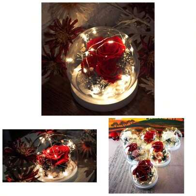 Forever Flowers Preserved Roses Women Mom Girlfriend Wife - Real Roses Eternal Flowers Elegant Present Valentine's Day Birthday Anniversary Wedding Mother's Day Red