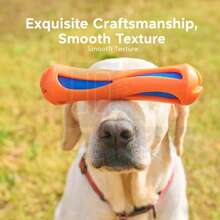 1pc Pet Toy Water Gun With Tooth Cleaning Slot, Improved Cleaning Effect. Squeeze Water Pressure Cushioned Toy. Suitable For Playing In Swimming Pool And Beach, Interactive Chase Toy. Made Of TPR+EVA, Durable And Chew-Resistant. - Multicolor - View 8