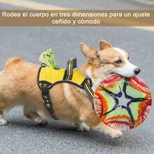 Pechera para Perro Mediano Chico con Correa 1.5m, Transportadora para Perro para Caminar Reflectante, Arnes para Viajar Entrenar Perros Accesorios Negro, - Aguamarina + S - Ver 6
