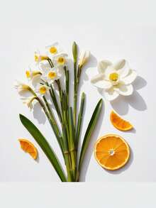 Perfume divain.626: Fragancia Oriental Floral para Mujer, 100ml – Experiencia Sensorial Única con Notas de Cáscara de Naranja e Iris, Ideal para la Primavera – Intensidad Duradera con Sándalo y Vainilla, Transmite Calma y Elegancia en Cada Uso, Perfecto para el Día a Día y Momentos de Paz - divain.626 - Ver 2