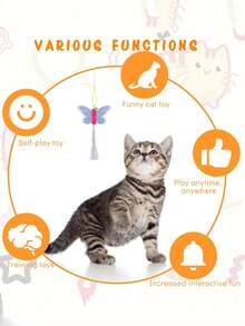 1 pieza Juguete interactivo de varilla para atraer gatos, repuesto de plumas artificiales y campanas para productos atrapadores de mascotas, adecuado para ejercicio y entretenimiento de gatos, varilla de juego manual, con varios insectos para reemplazar el cabezal - Multicolor - Ver 3