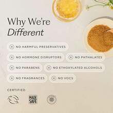 Branch Basics Cleaning Essentials Kit: All Purpose, Glass And Bathroom Cleaner - Concentrate (33.8 Oz) (17 Refills) + Refillable Plastic Spray Bottles (24 Oz) Plant Based, Human-, & Fragrance Free - như hình ảnh - Xem 8