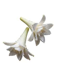 DIVAIN Parfum - Goddelijk. Tuberoos - Bekijken 2