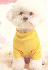 1件狗狗可爱爱心图案睡衣，适合泰迪犬和小型犬，秋冬季 - 芥末黃 - 查看 12