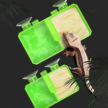 1pc Reptile Hanging Double Bowl Water & Food Bowl For Gecko, Lizard, Chameleon, Tree-Dwelling Pets - Feeding Bowl - View 9