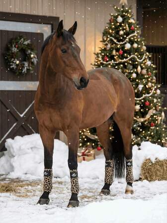 TGW RIDING Cute Leopard, Rainbow Stripe, Polka Dot, Artistic Horse Print Leg Wraps, Double Brushed And Single Shake Fabric, Thicker & Softer Horse Polo Wraps Fleece Bandages, 4pcs/Set