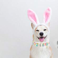 Elegant Little Tail Easter Dog Collar Bunny Pattern Pet Collar Holiday Female Or Male Adjustable Pink Pet Collar With Quick Release Buckle For Dogs - Purple - View 6