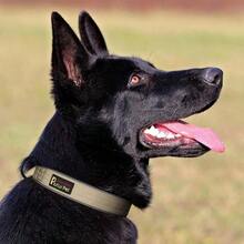- Collar tctico para Perros, Reflectante, Ajustable, Resistente, Acolchado Suave y cmodo, para Perros pequeos, medianos y Grandes Beige, XL - Beis - Ver 8