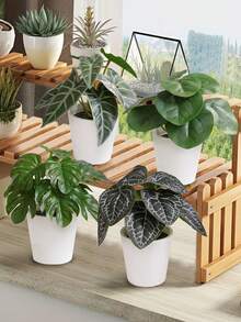 仿真盆栽，四种款式可选：铜草、芋叶、孔雀竹、龟背竹。PE材质。仿真花卉，逼真植物，仿真花艺摆设。适用于：宿舍/办公室装饰、婚礼季装饰、户外派对及庆典、生日派对装饰。完美适用于：家居入口、酒店、餐厅、客厅、卧室、婚宴、厨房、花园装饰。春夏装饰佳品。品质优良。 - 綠色 - 查看 6