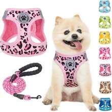 BEAUTYZOO Small Dog Harness And Leash Set,Step In No Choke No Pull Soft Mesh Dog Harnesses Reflective For Extra-Small_Small Medium Puppy Dogs And Cats, Plaid Dog Vest Harness For XS S Pets, Blue M - MàuP - Xem 1