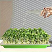 4pcs Green Seed Sprouter Trays,Seed Sprouter Tray With Drain Holes, Soil-Free Cultivation Germination Tray For Indoors Or Outdoors Sprouting Seeds, Grow Grass, Beans - Green - View 5