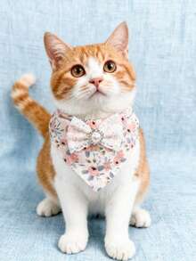 1 件装宠物围巾项圈 可调节颈围 猫项圈 狗项圈 宠物配件 宠物用品 - 彩色 - 查看 4