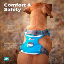 Outward Hound Boulder Adventure Adjustable Dog Harness With Pockets, Red, Large - MàuC - Xem 4