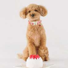 Elegant Little Tail Dog Collar Cute Strawberry Pet Collars Adjustable Dog Collars - Watermelon Pink - View 4