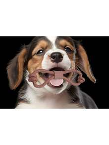 1 pieza Juguete para masticar de cuerda para mascotas, molido de dientes de TPR, resistente a mordeduras, alivio del aburrimiento, juguete interactivo para perros, suministros de entrenamiento trenzados, juguete de tiro para perros, cuerda interactiva, juguete para masticar para perros, disponible en múltiples colores - Multicolor - Ver 2