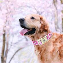 Pink Floral Pattern Adjustable Pet Collar With Quick Release Buckle, Elegant Small Dog Collar - Hot Pink - View 6