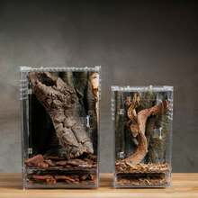 1pc Acrylic Tree Frog Pet Snake Habitat Terrarium With Front Opening For Reptile Breeding