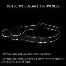 Collar Reflectante Tipo martingala con Hebilla de Cierre rpido, antitirones, para Perros pequeos, medianos y Grandes, Talla, Color Verde Ranger - Verde Ranger - Ver 5