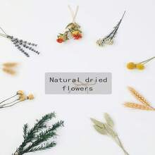 DIY Natural Dried Flower Set, Bulk Dried Flowers For Vase, Dried Flowers With Stems, Dried Roses, Mini Dried Flower Bouquets - Nhiều màu - Xem 9