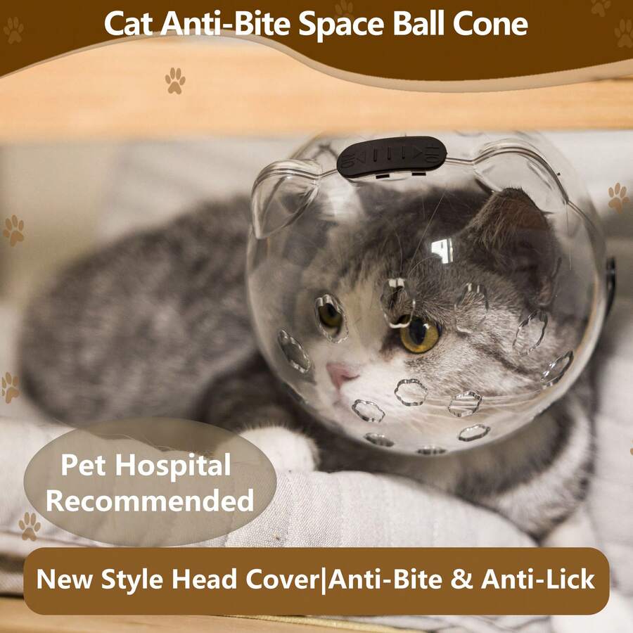 宠物医院推荐猫咪防咬太空球形头套 - 透明防舔头套，适用于术后恢复
