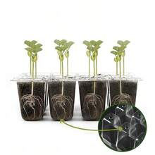 2个/5个装绿色3件套育苗盘，12格育苗盘，多用途，适用于种植蔬菜、花卉、幼苗，包含盖子、隔热层和保湿板，促进种子萌发！育苗好帮手，用途广泛，园艺必备，居家必备，也适用于盆栽植物和多肉植物。 - 綠色 - 查看 5