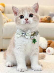 1 件装宠物围巾项圈 可调节颈围 猫项圈 狗项圈 宠物配件 宠物用品 - 彩色 - 查看 18