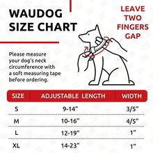 Collar ajustable para perros pequeos - Collar pequeo - Collar para perros pequeos - Pequeo collar de nailon para perro Plus, 11 inch - 15 1/2 inch Neck - Multicolor - Ver 7