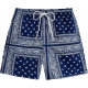 Deep Blue Paisley