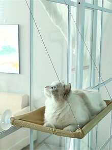 舒适的猫窗台 - 舒适的猫吊床、猫床、猫配件、猫用品，易于安装在窗户上，为您的猫咪朋友提供放松的空间，适合体重不超过 33 磅的猫咪。 - 均碼 - 查看 4