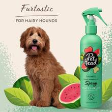Pet Head Furtastic Spray de Aseo para Perros de Pelaje Largo y Rizado 10.1fl oz – Aroma de Sandía. Champú Seco Desenredante con Ingredientes Naturales y Veganos. Fórmula Suave para Perros y Cachorros - 1 - Ver 4