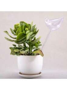 5个装鸟形自动浇水球，塑料自浇水桩，适用于盆栽植物，家用园艺工具，无需压力喷雾器