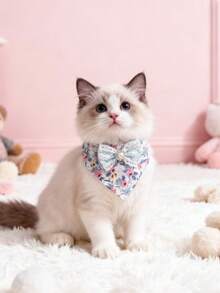 1 件装宠物围巾项圈 可调节颈围 猫项圈 狗项圈 宠物配件 宠物用品 - 彩色 - 查看 16