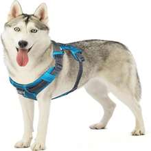 Outward Hound Boulder Adventure Adjustable Dog Harness With Pockets, Red, Large - MàuC - Xem 1