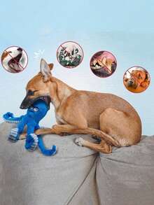 结实耐用的狗狗玩具、填充狗狗咀嚼玩具、大型狗狗玩具（让它们忙起来）、互动狗狗玩具、会发出吱吱声的狗狗玩具、拔河狗狗玩具、沙沙作响的宠物玩具、幼犬保暖发声玩具、最佳狗狗妈妈 - 彩色 - 查看 6