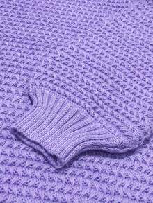 Solid Side Slit Knit Sweater, Casual Long Sleeve Crew Neck Top For Fall & Winter, Women's Plus Size Clothing    Solid Color Stand Neck Pullover Sweater, Elegant Side Split Long Sleeve Knitted Sweater For Fall & Winter, Women's Clothing     Women's Knitted Sweaters Slit Hem Long Sleeve Round Neck Ribbed Loose Fall Pullovers     Ropa De Invierno Mujer     Women's Sweater  Long Sleeve Tops Women - 紫色 - 查看 8
