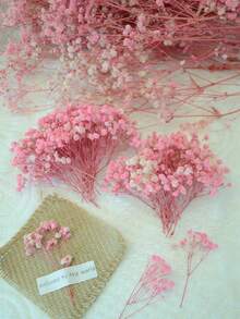 淺粉紅色(滿天星)