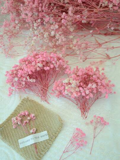 20/50/100/150/300 件迷你满天星及其他干花 - 适用于树脂模具艺术和工艺品，象牙白色花束，可用作发饰、婚礼花环、餐桌装饰、家居装饰