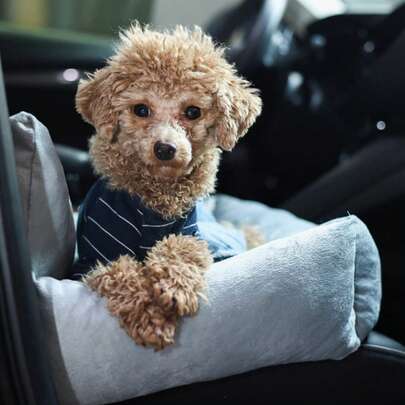 Travel Dog Bed Soft Washable Pet Puppy Cat Car Seat Cushion Comfort Protector