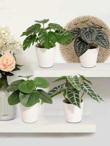 仿真盆栽，四种款式可选：铜草、芋叶、孔雀竹、龟背竹。PE材质。仿真花卉，逼真植物，仿真花艺摆设。适用于：宿舍/办公室装饰、婚礼季装饰、户外派对及庆典、生日派对装饰。完美适用于：家居入口、酒店、餐厅、客厅、卧室、婚宴、厨房、花园装饰。春夏装饰佳品。品质优良。 - 綠色 - 查看 9